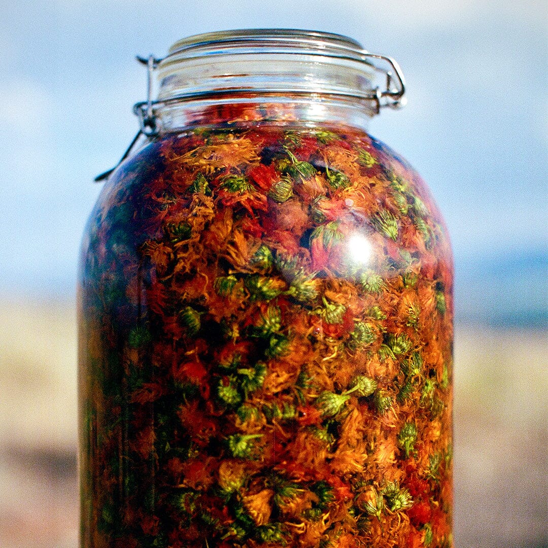 All-Purpose Tallow Balm Beauty TALLOW