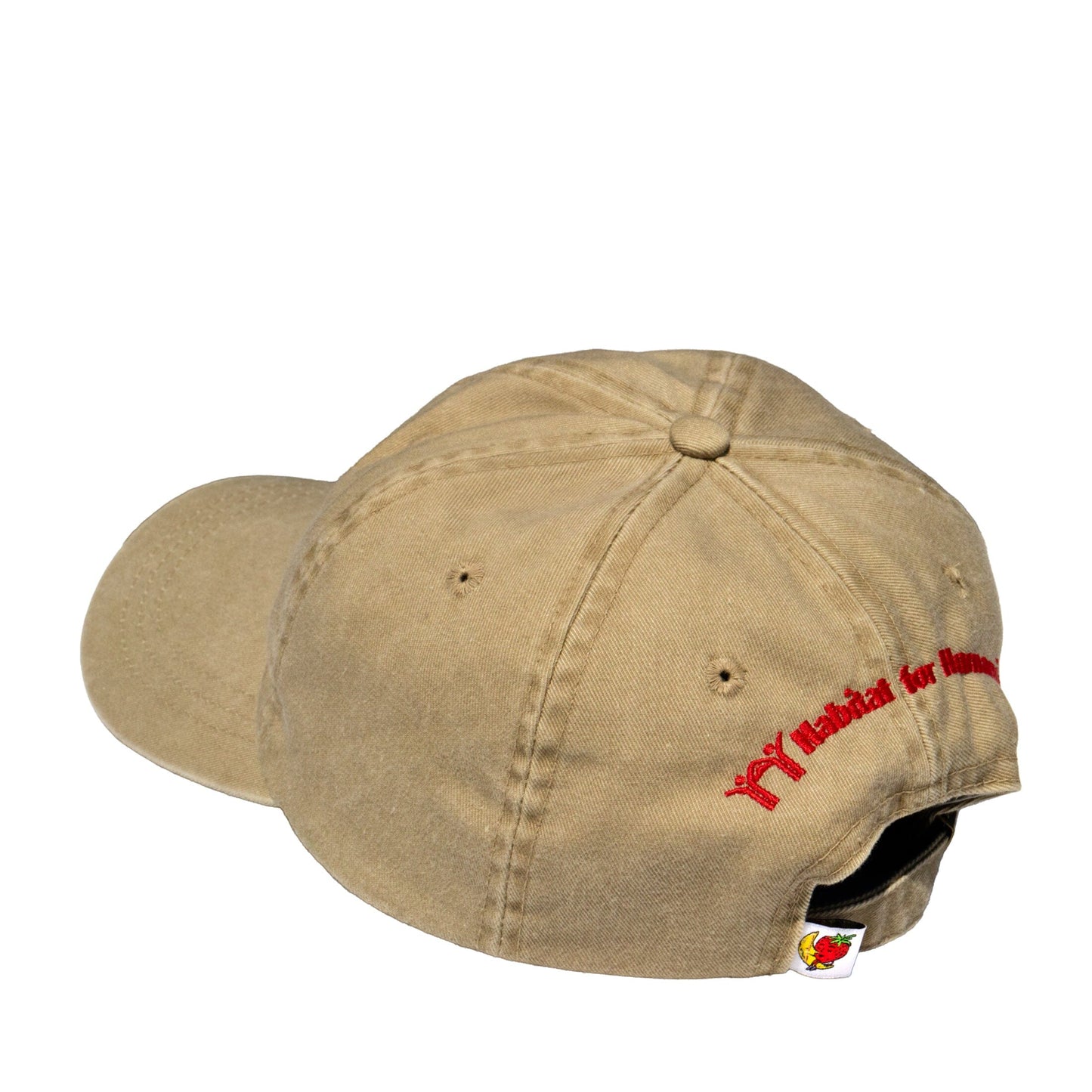 Vintage Strawberry Moon Hat Hats Sky High Farm Goods