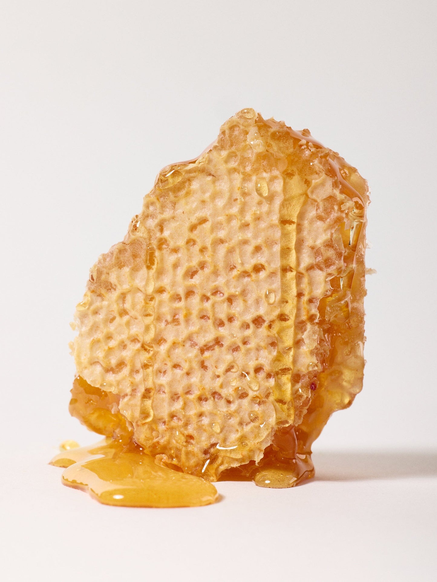 Wildflower Honey Food Sky High Farm Goods 