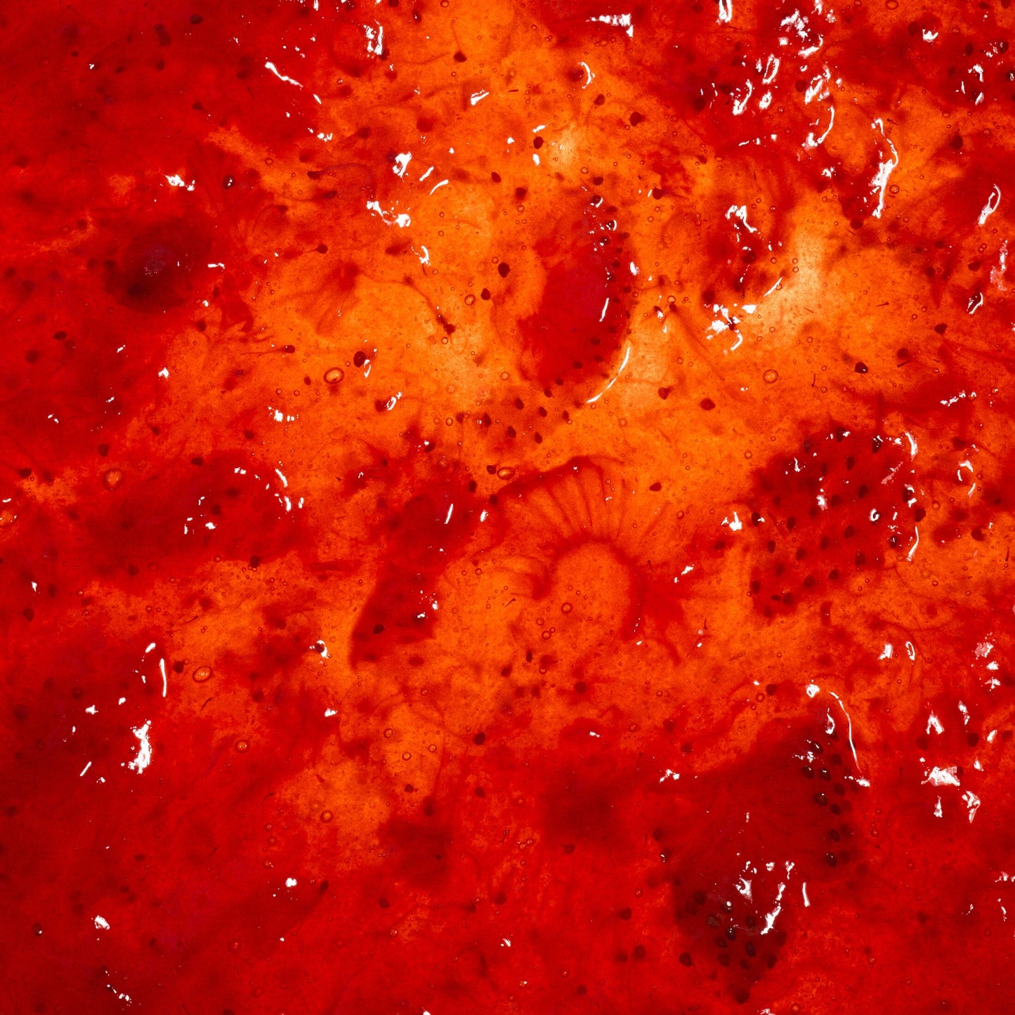 Strawberry Jam Food Sky High Farm Goods 