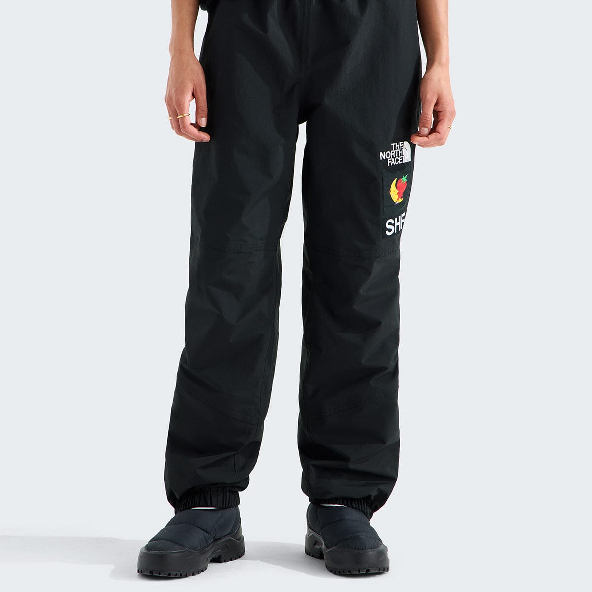 TNF X SHF MTN PANT Sky High Farm Goods 