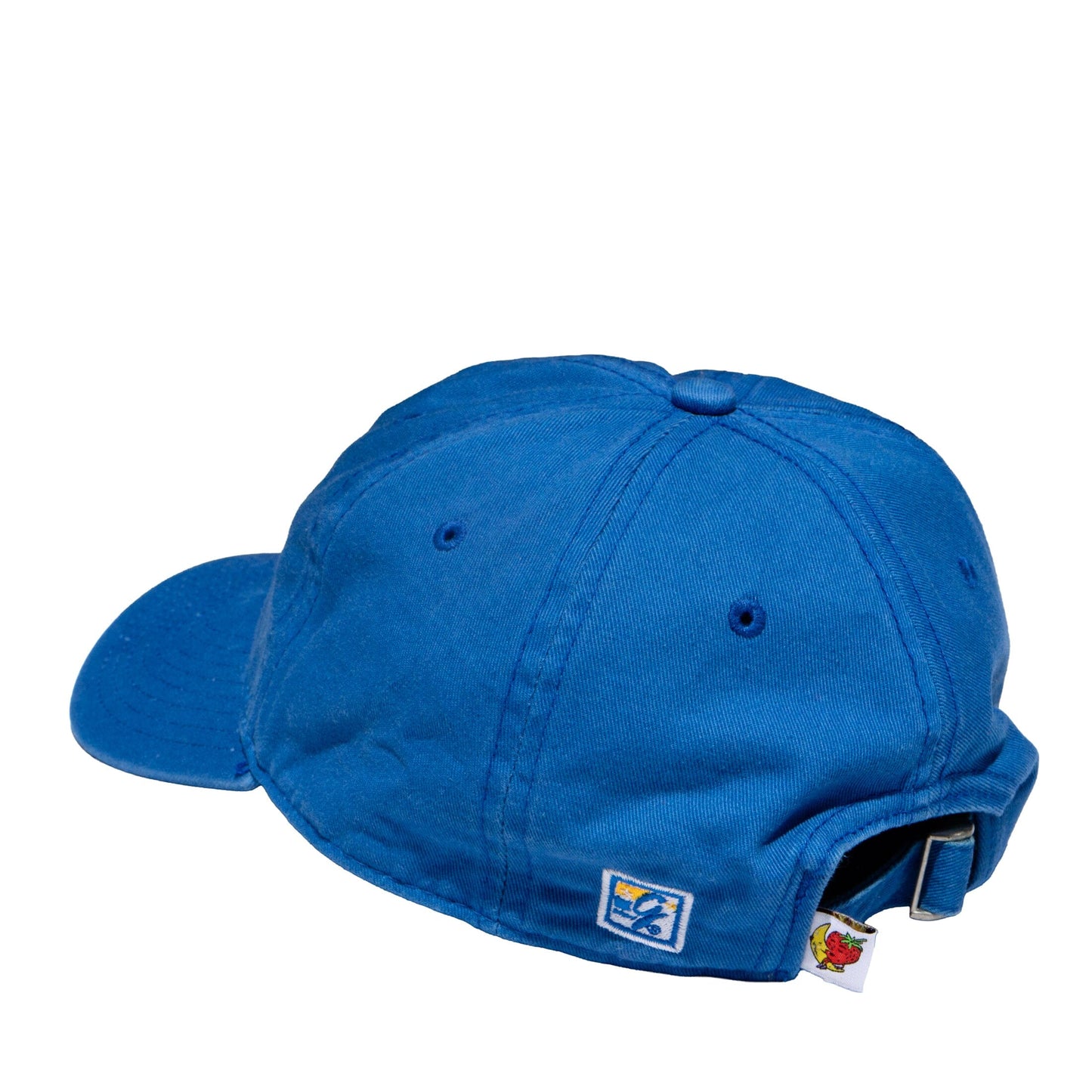 Vintage Strawberry Moon Hat Hats Sky High Farm Goods 