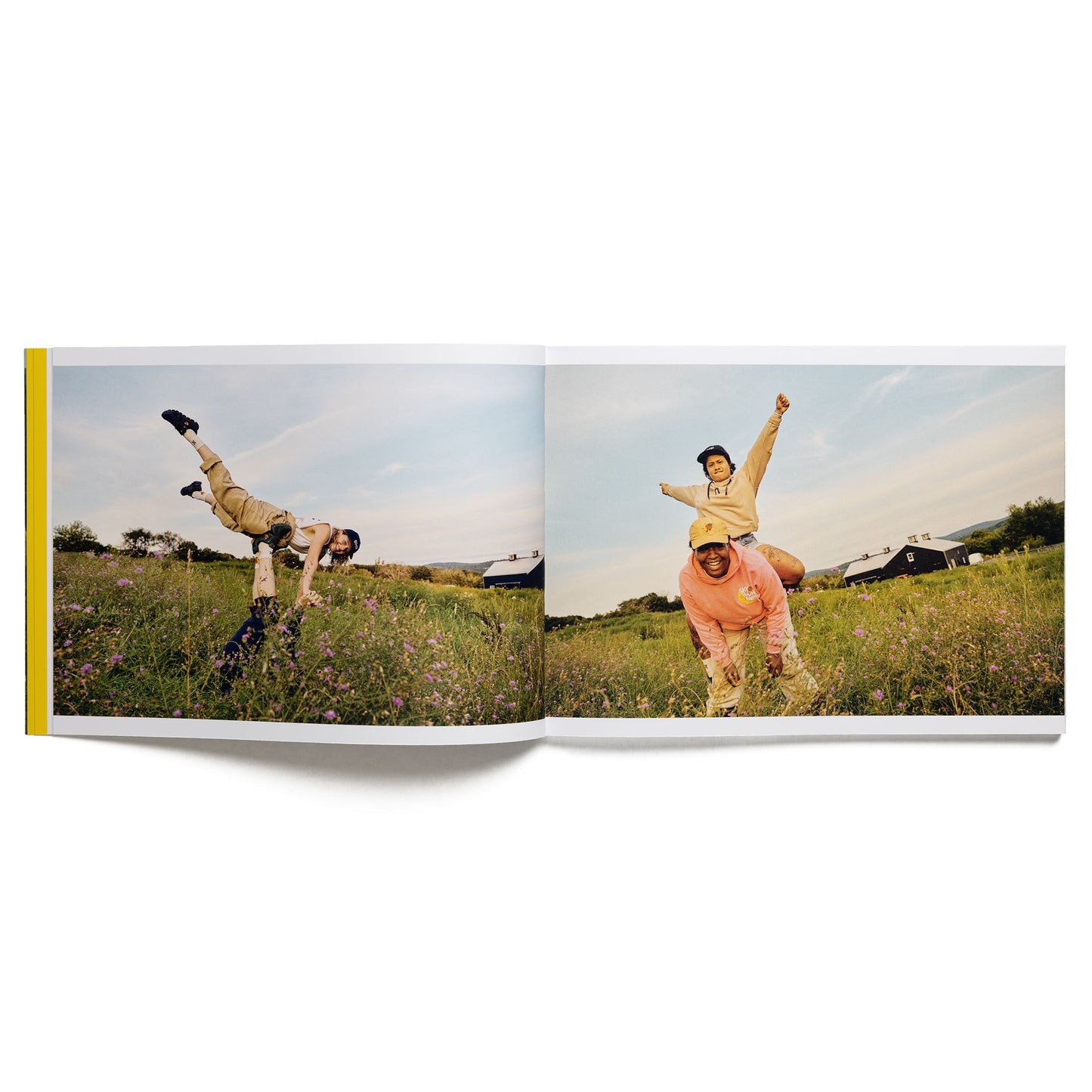 The Farmers book Sky High Farm Goods 